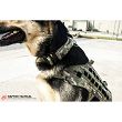 Obroża dla psa K9 Odin Collar, Kolor: Multicam Black - Raptor Tactical - 8