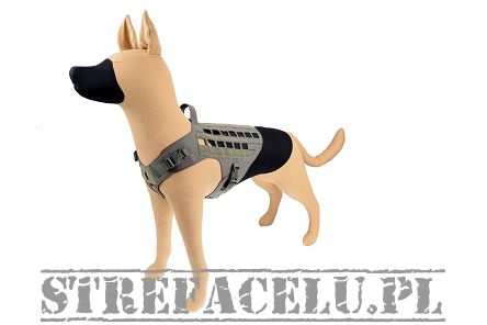 Uprząż - szelki dla psa K9 Drago Harness , Kolor: Ranger Green, Raptor Tactical, (Wybór rozmiarów)