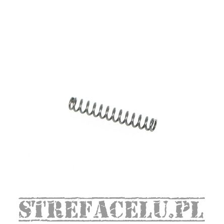 Sprężyna popychacza BUL 1911/2011 SAS Plunger Spring #10712