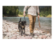Obroża dla psa - 5.11 MISSION READY DOG COLLAR, Kolor: FLUORSCN ORG - 10