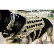 Uprząż - szelki dla psa K9 Zephyr MK2 Dog Harness, Kolor: Coyote Brown - Raptor Tactical - 16