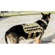Uprząż - szelki dla psa K9 Zephyr MK2 Dog Harness, Kolor: Coyote Brown - Raptor Tactical - 6