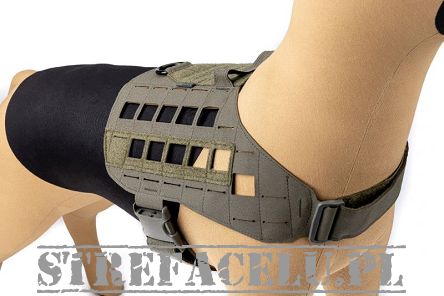Uprząż - szelki dla psa K9 Zephyr MK1 Dog Harness, Kolor: Ranger Green - Raptor Tactical