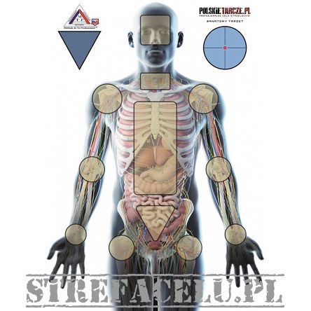 Shooting Target Anatomy, Pieces : 1, Manufacturer : polskietarcze.pl