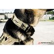 Obroża dla psa K9 Odin Collar, Kolor: Ranger Green - Raptor Tactical - 7