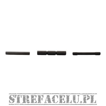 Zestaw pinów do BUL AXE Trigger Housing Pin, Trigger Pin, Locking Block Pin