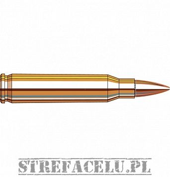 Amunicja Hornady FMJ-BT 55gr/3,56g // .223 REM