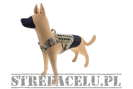 Uprząż - szelki dla psa K9 Zephyr MK1 Dog Harness, Kolor: Multicam - Raptor Tactical